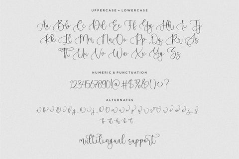 Blueberry Winter Beautiful Handwritten Font Font Letterative 