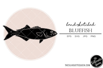 Bluefish Hand sketched, hand drawn vector clipart SVG Loveleen Kaur 