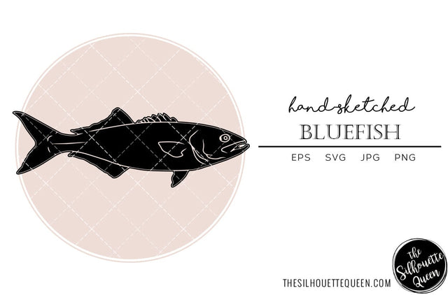Bluefish Hand sketched, hand drawn vector clipart SVG Loveleen Kaur 
