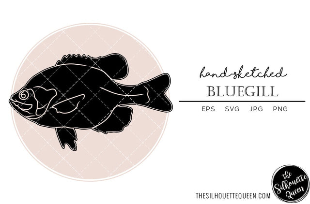 Bluegill Hand sketched, hand drawn vector clipart SVG Loveleen Kaur 
