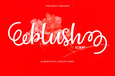 Blush Script Font gatype 