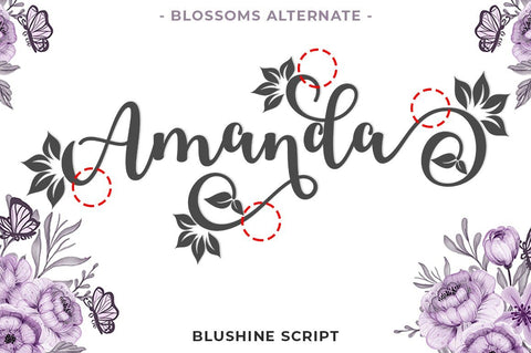 Blushine Script Font Studio Natural Ink 