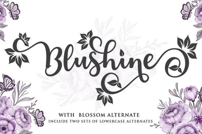 Blushine Script Font Studio Natural Ink 