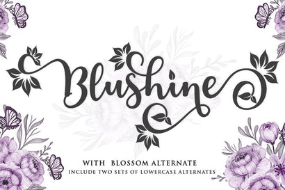 Blushine Script Font Studio Natural Ink 