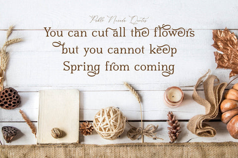 Blusvery Typeface Font Storytype Studio 