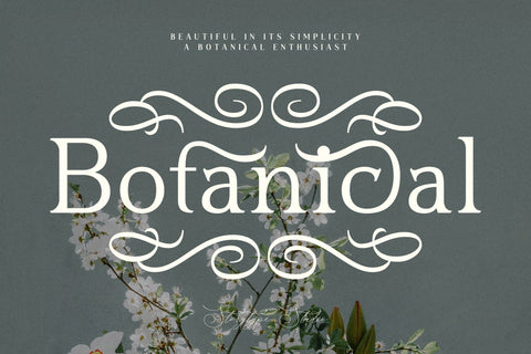 Blusvery Typeface Font Storytype Studio 