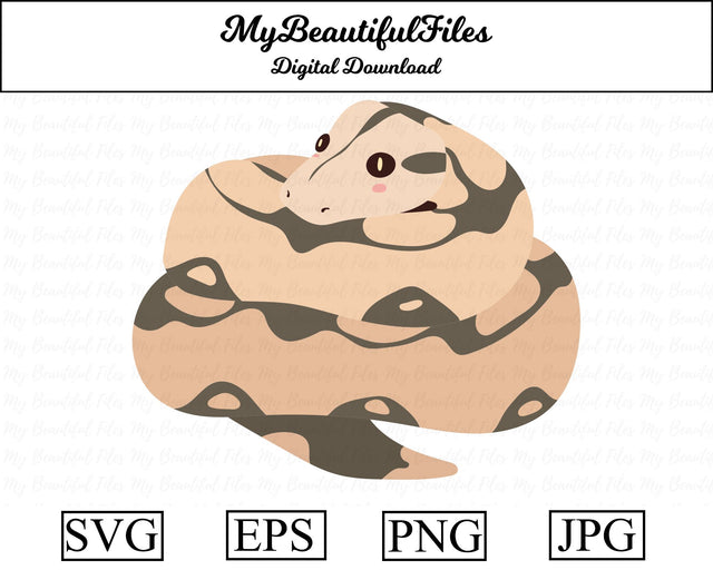 Boa - Snake SVG MyBeautifulFiles 