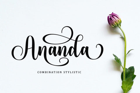 Bodaholic Script Font Font BungStudio 