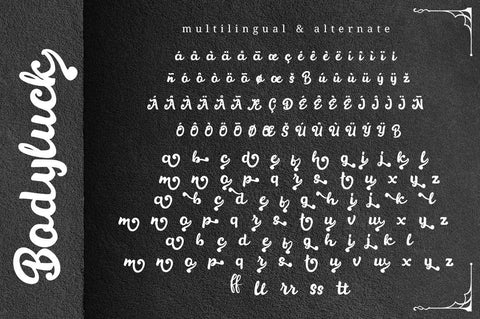 Bodyluck - Bold Script Font Font Ibey Design 