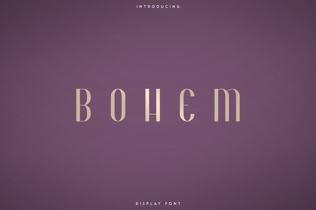 Bohem - Display font | 2 styles Font VPcreativeshop 