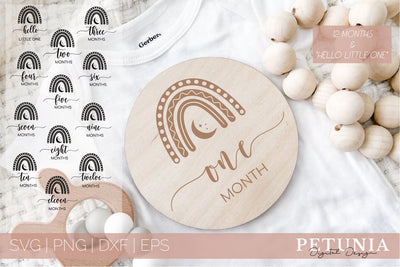 Boho Monthly Baby Milestones SVG | Baby First Year Milestone SVG Petunia Digital Design 