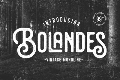 Bolandes - Vintage Monoline Font Arterfak Project 