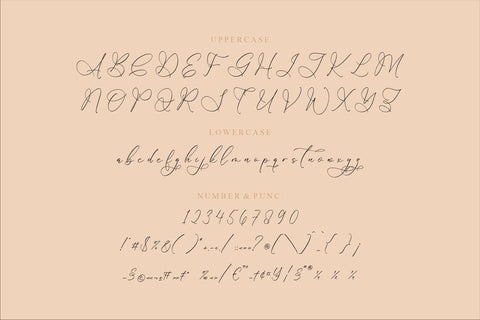 Bolchanitas Voligate - Chic Calligraphy Font Font Storytype Studio 