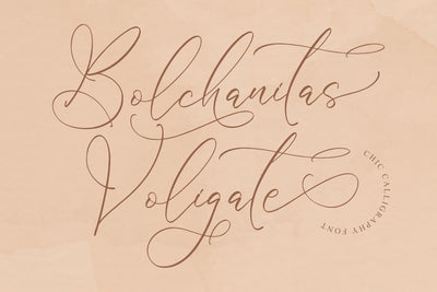 Bolchanitas Voligate - Chic Calligraphy Font Font Storytype Studio 
