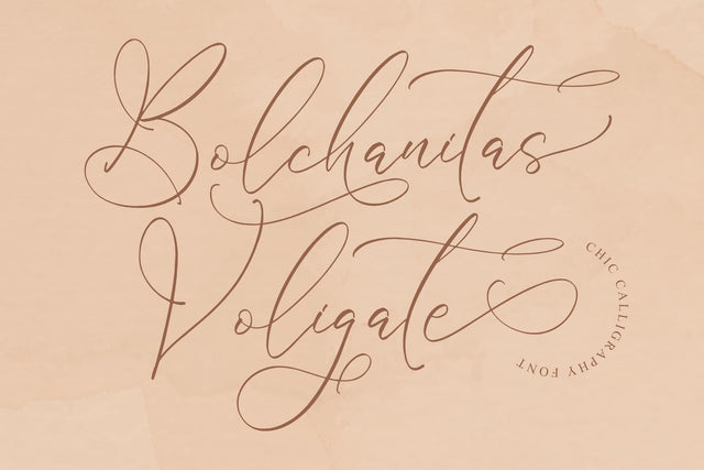 Bolchanitas Voligate - Chic Calligraphy Font Font Storytype Studio 