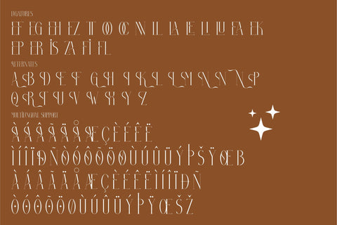 Bolinger Typeface Font Storytype Studio 