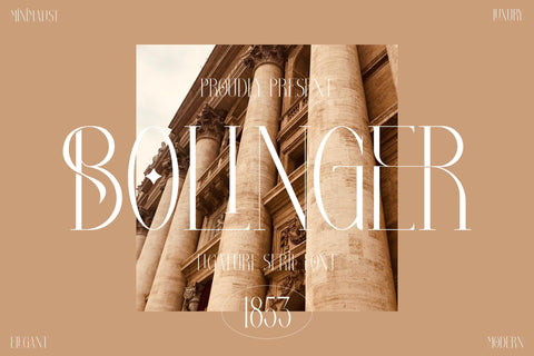 Bolinger Typeface Font Storytype Studio 