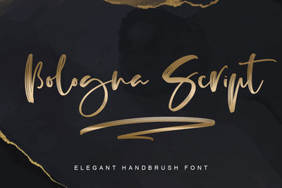 Bologna Font Abo Daniel Studio 