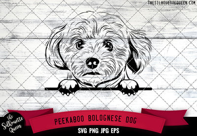 Bolognese Peek A Boo | Peekaboo | Peeking Dog Face SVG for Glowforge, Cricut, Laser, Silhouette, Scan n cut files SVG Loveleen Kaur 