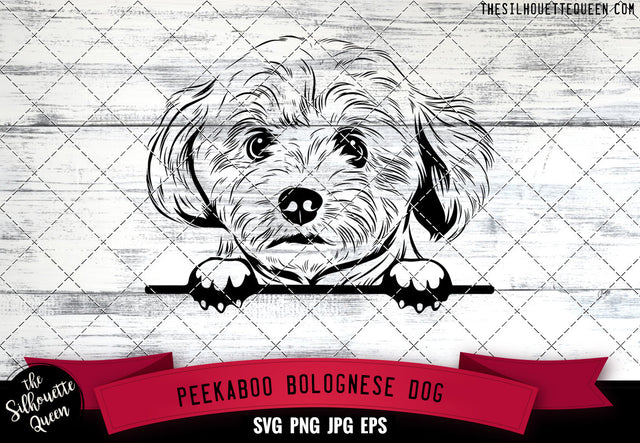 Bolognese Peek A Boo | Peekaboo | Peeking Dog Face SVG for Glowforge, Cricut, Laser, Silhouette, Scan n cut files SVG Loveleen Kaur 