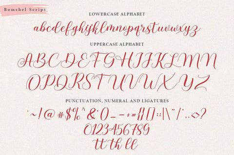 Bomshel Script Font Rotterlab studio 