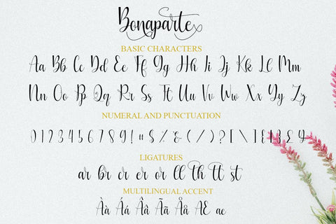 Bonaparte Font Supersemar Letter 