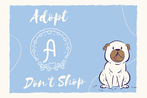 Bonapet Animal Monogram Font Attype studio 