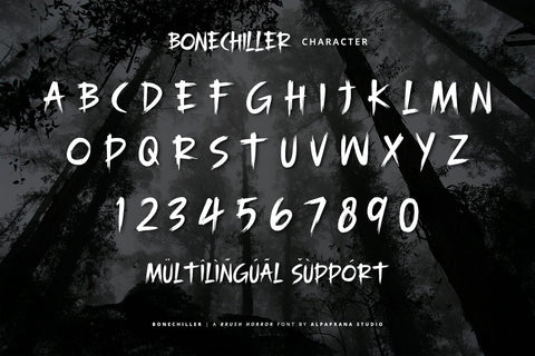 Bonechiller - Brush Font Font Alpaprana Studio 