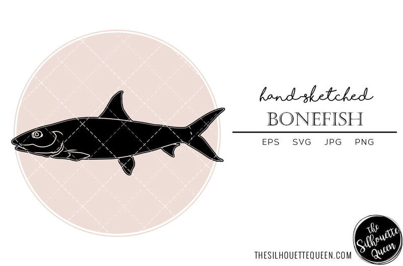 Bonefish Hand sketched, hand drawn vector clipart - So Fontsy