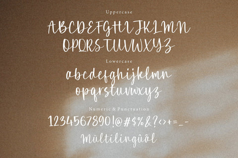 Boneflower Modern Handwritten Font Font Letterative 