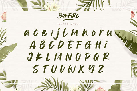 Bonfire - Modern Brush Font Font Alpaprana Studio 