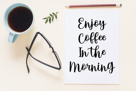 Bonita Script Font Rotterlab studio 