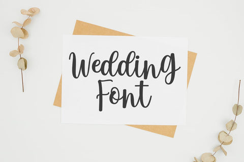 Bonita Script Font Rotterlab studio 