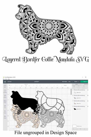 Border Collie Layered Mandala SVG SVG Digital Honeybee 