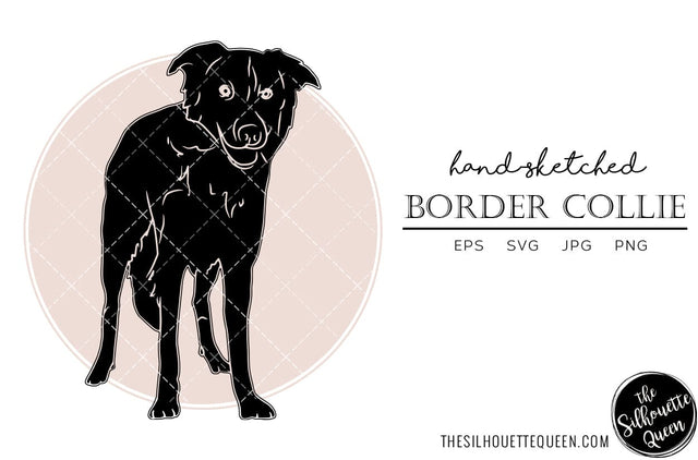 Border Collie Sketch SVG Loveleen Kaur 