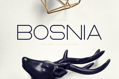 Bosnia - Sans Serif font | 2 styles Font VPcreativeshop 