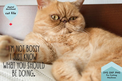 Bossy Quote, Sarcastic SVG Cut File SVG Lettershapes 