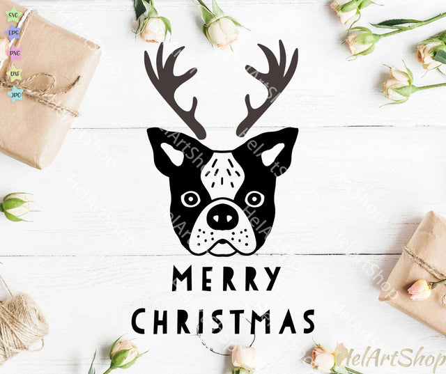 Boston Terrier Christmas svg SVG _HelArtShop_ 