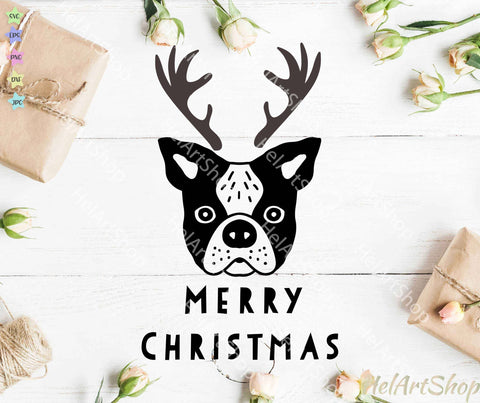 Boston Terrier Christmas svg SVG _HelArtShop_ 
