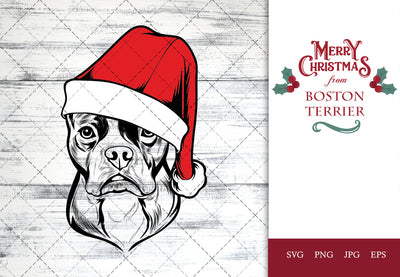 Boston Terrier dog svg portrait clipart vector graphic art Xmas hat Christmas dog Cricut cut file cuttable design SVG Loveleen Kaur 