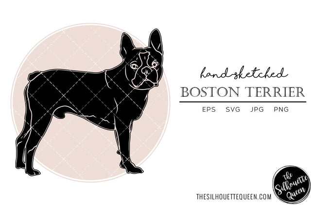 Boston Terrier Sketch SVG Loveleen Kaur 