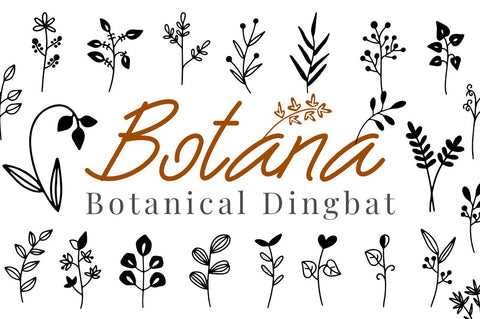 Botana Font Masyafi Studio 