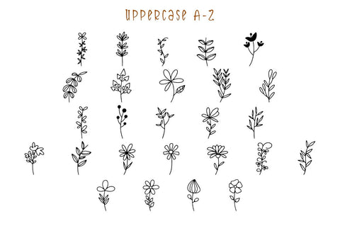 Botana Font Masyafi Studio 