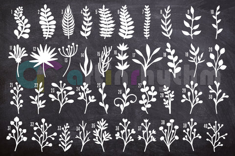 Botanical leaves svg bundle SVG Artinrhythm shop 