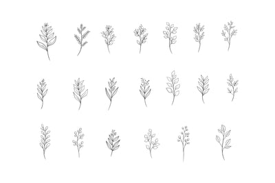 Botanical Line Art: SVG Masyafi Studio 
