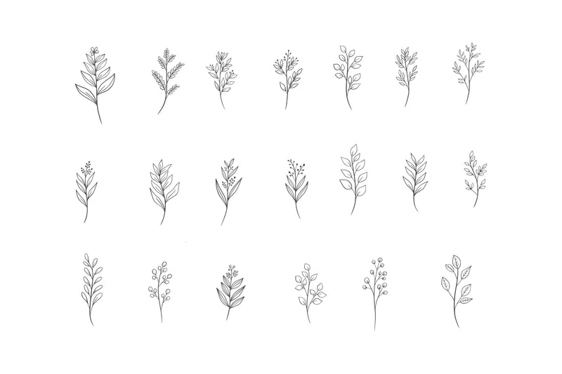 Botanical Line Art: SVG Masyafi Studio 