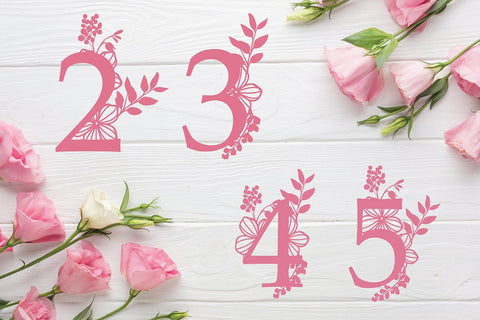 Botanical numbers Monogram Set 0-9 Svg cut file SVG DIYCUTTINGFILES 