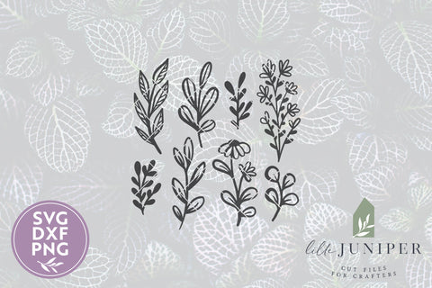 Botanical SVG | Leaf SVG | Flower SVG SVG LilleJuniper 