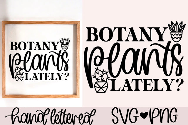 Botany plants lately svg, plant pun svg, funny plant quote svg, plant lover svg, succulent svg, plant shirt svg, botany svg,plant saying svg SVG AnitaAlyiaLettering 