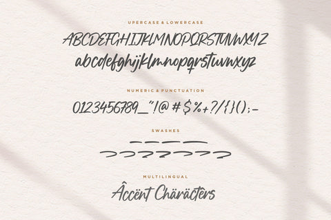 Boucik Modern Calligraphy Font Font Balpirick 